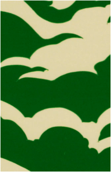 Image 25