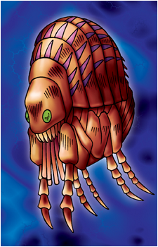Giant Flea's image