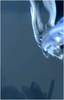 Seath the Scaleless