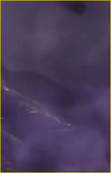 Image 2 Image 2