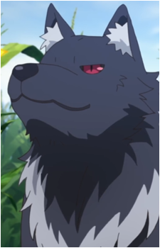 Yuki's image