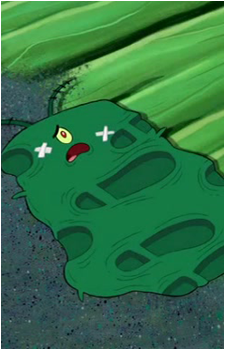 Plankton