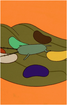 Plankton