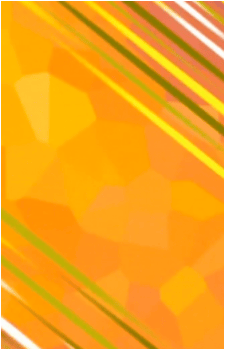 Image 23