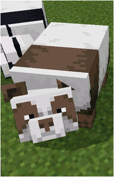 Panda {MC}