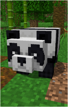 Panda's image