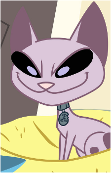Mr. Kat