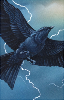 Storm Crow's image