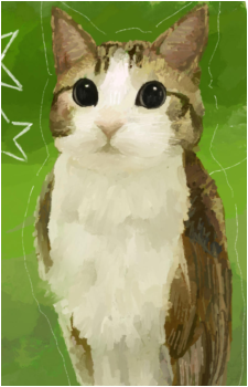 Meowl's image