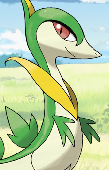 Snivy