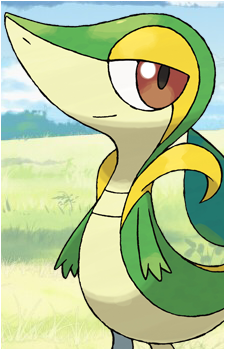 Snivy's image