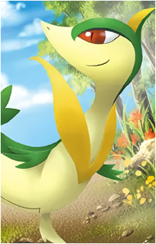 Image 26