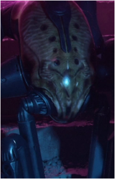 IxVox3's image