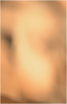 Image 29