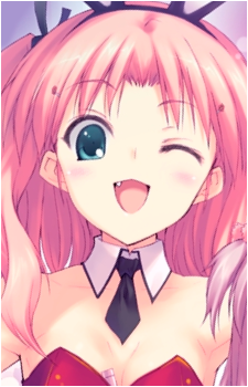 Image 4 Image 4