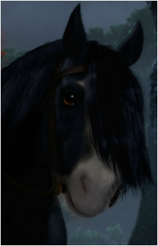 Angus {Brave}'s image