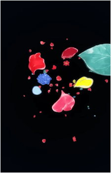 Image 7 Image 7