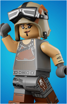 Renegade Raider