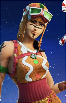 Renegade Raider