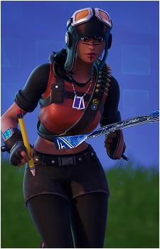 Renegade Raider