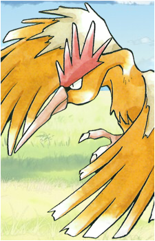 Spearow