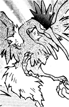 Image 37