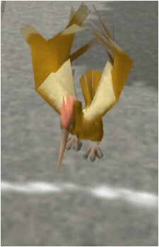 Image 39