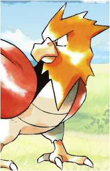 Spearow