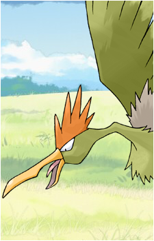 Spearow
