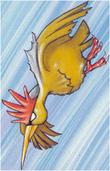 Image 23