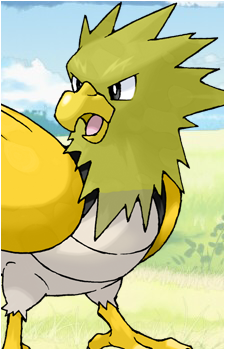 Spearow