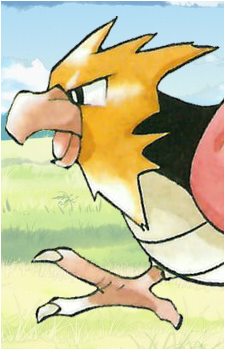 Spearow