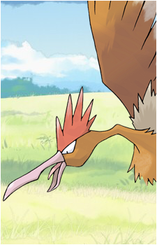 Spearow