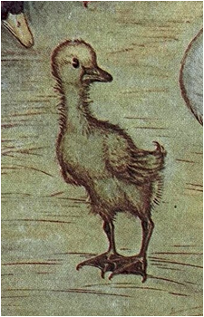 The Ugly Duckling's image