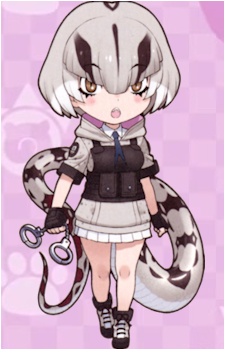 Red-Tailed Boa's image