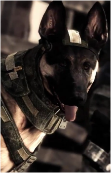 Riley {CoD}'s image