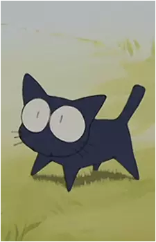 Takkun (Cat)