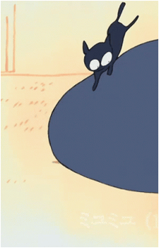 Takkun (Cat)