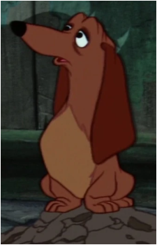 Dachsie's image