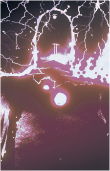 Chob's image