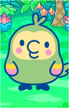 Parorotchi's image