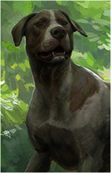 Mutt {KCD}'s image
