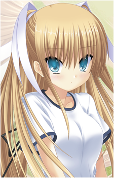 Saya Tokido