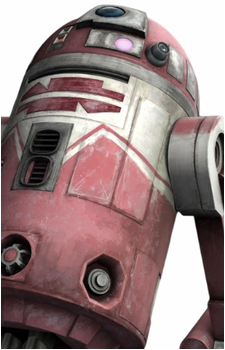 QT-KT's image