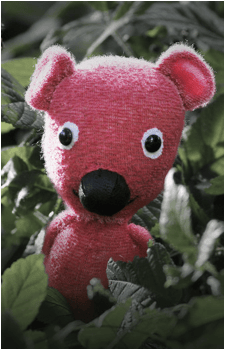Kooky {KSV}'s image