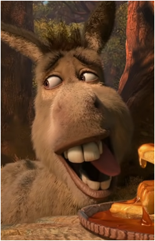 Image 5 of Donkey