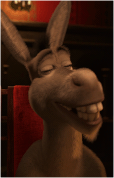 Image 12 of Donkey