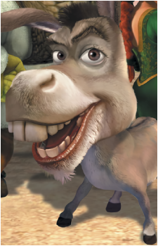 Image 11 of Donkey