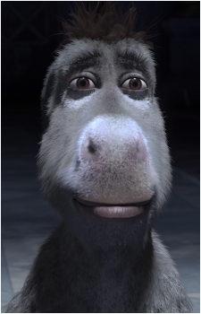 Image 6 of Donkey