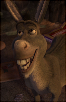 Image 8 of Donkey